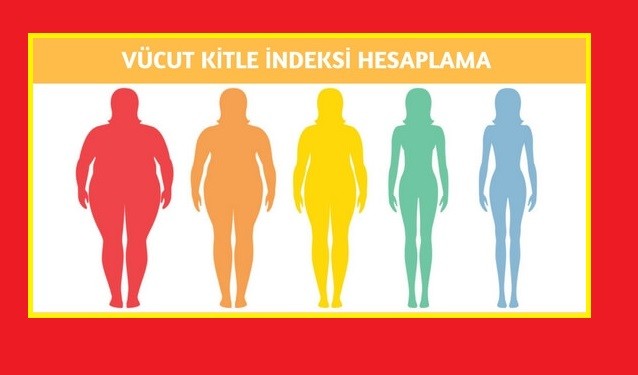 Beden Kütle Endeksi Hesaplama