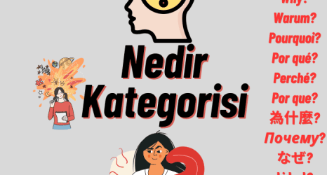 Nedir Kategorisi