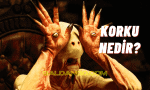 Korku Nedir