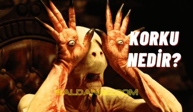 Korku Nedir