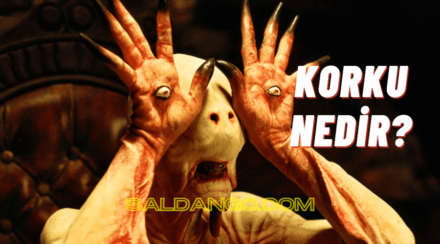 Korku Nedir