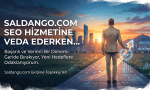 SEO Hizmeti Vermeyi Bıraktım