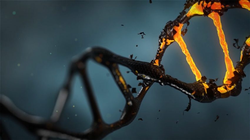 5 Dakikada Molekül Nedir Öğrenin