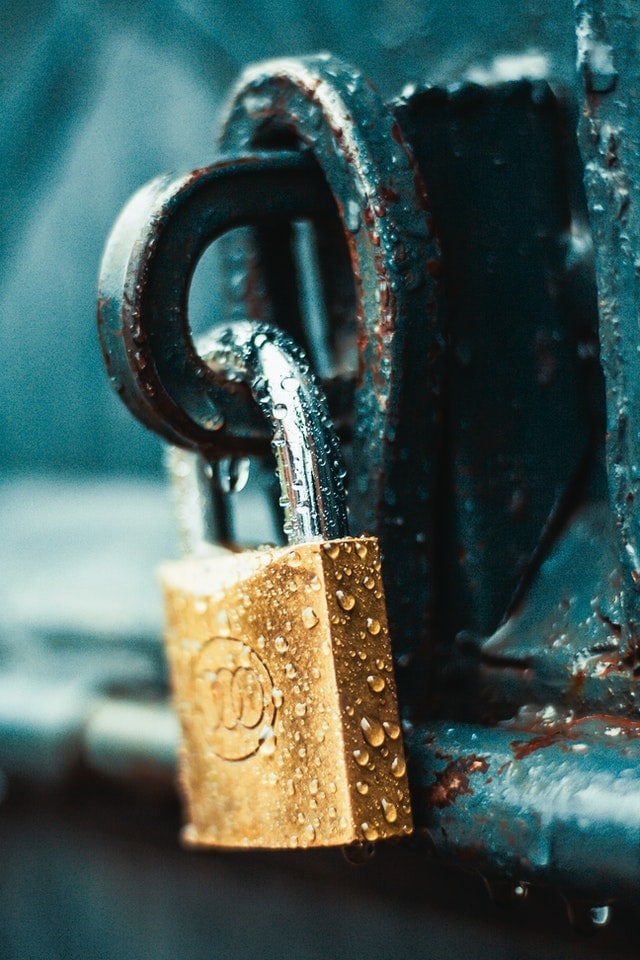 pexels nicholas githiri 1068349 pexels nicholas githiri 1068349
