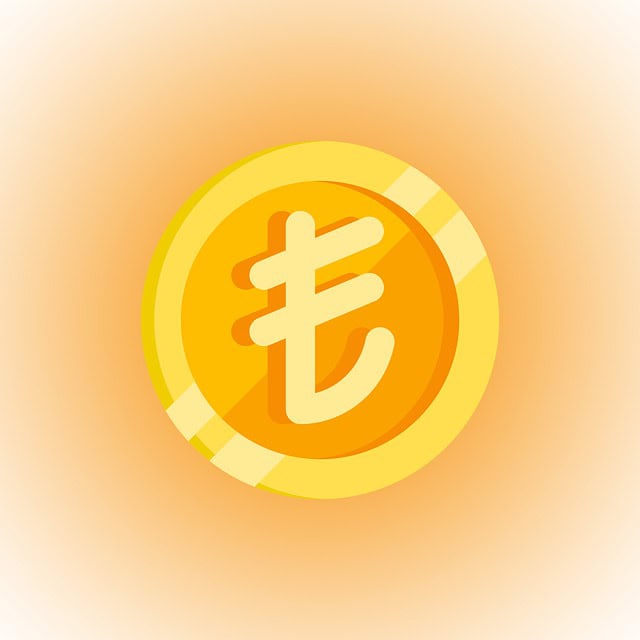 turkish lira 6095313 640 turkish lira 6095313 640
