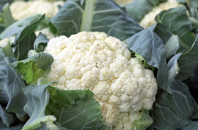 cauliflower 1465732 640 cauliflower 1465732 640