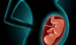 silhouette of pregnant woman with fetus in womb