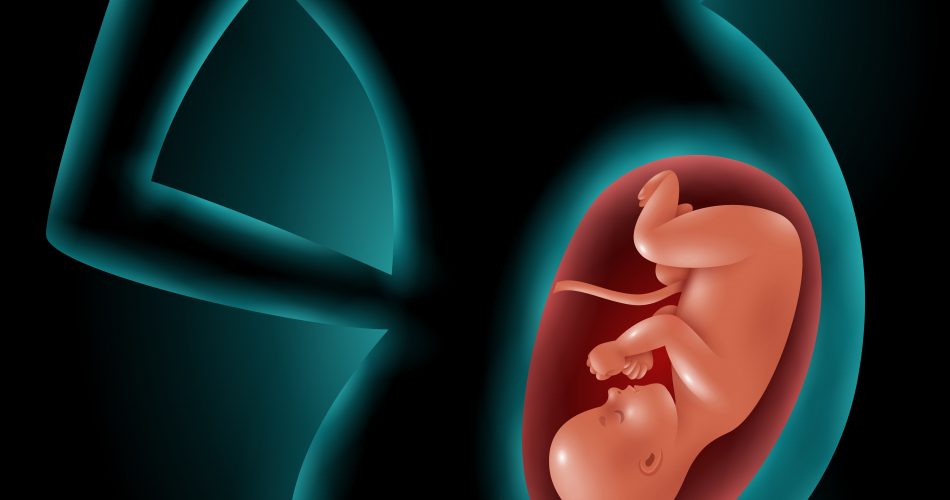 silhouette of pregnant woman with fetus in womb