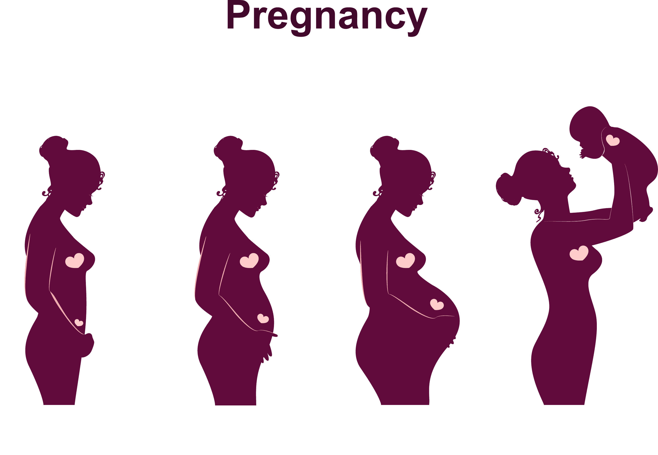 favpng pregnancy childbirth infant menstruation fetus favpng pregnancy childbirth infant menstruation fetus