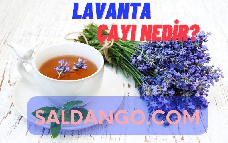 lavanta çayı nedir