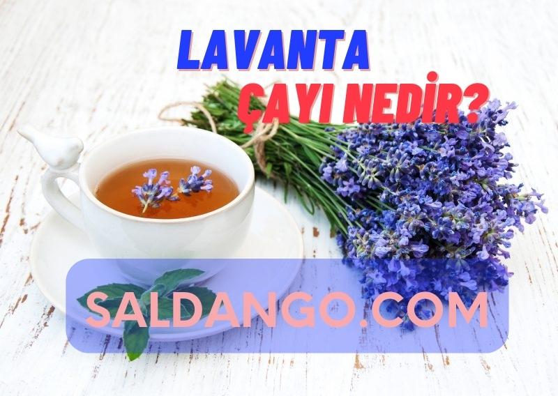 Lavanta Çayı Nedir