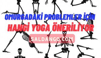 Omurgadaki Problemleri Yoga Çözüyor