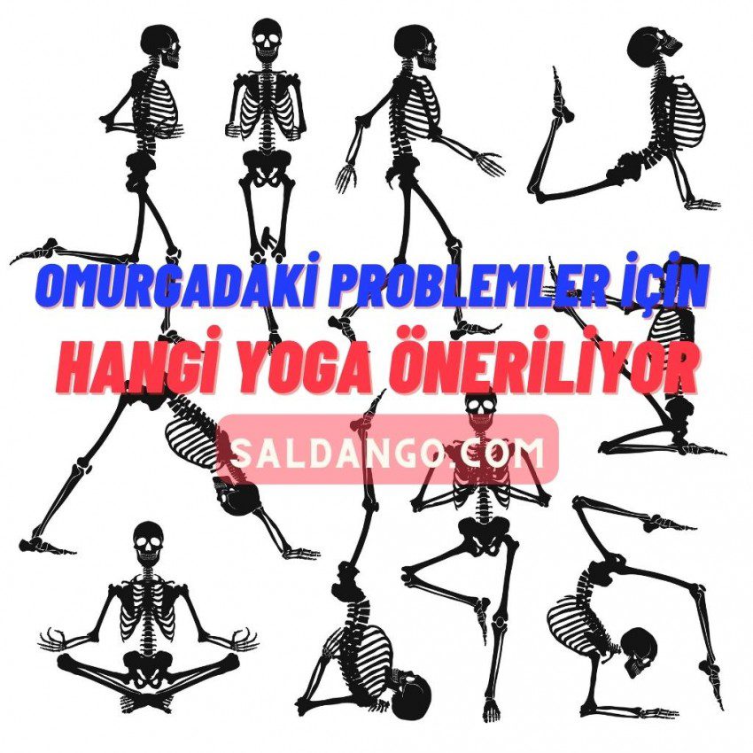 Omurgadaki Problemleri Yoga Çözüyor