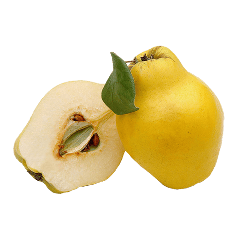 Ayva