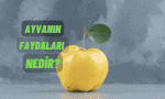 Ayvanın Faydaları Nedir