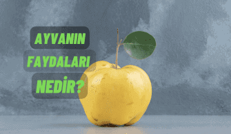 Ayva nın Faydaları Nedir