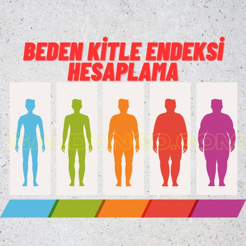 Beden Kitle Endeksi Hesaplama