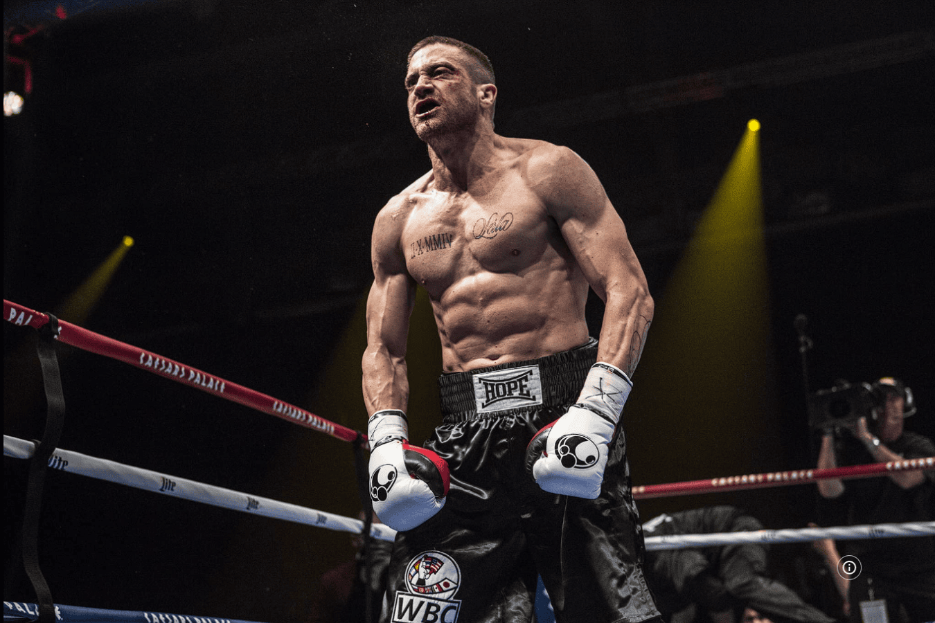 southpaw 15