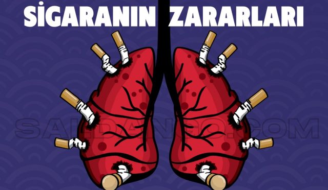 Sigaranın Zararları